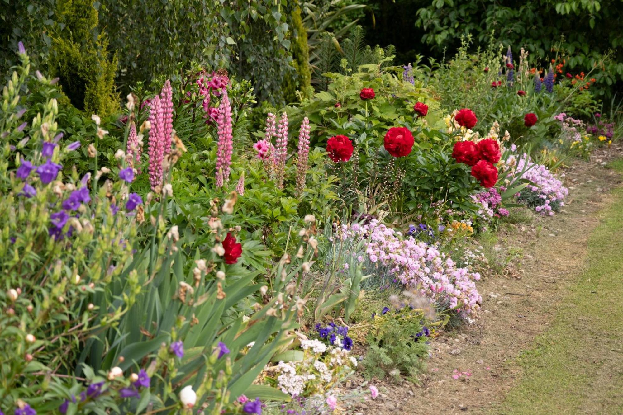 Benger Garden Chalets Millers Flat Exterior foto